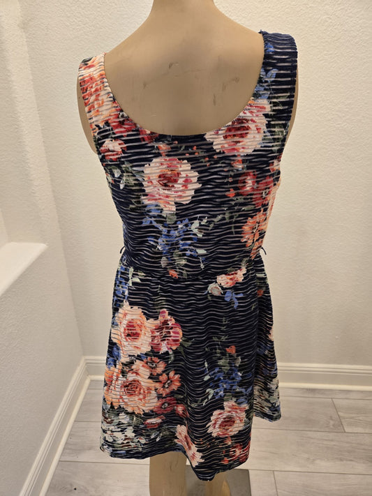 Three Pink Hearts Floral Skater Mini Dress Size L Blue Pink Striped Sleeveless