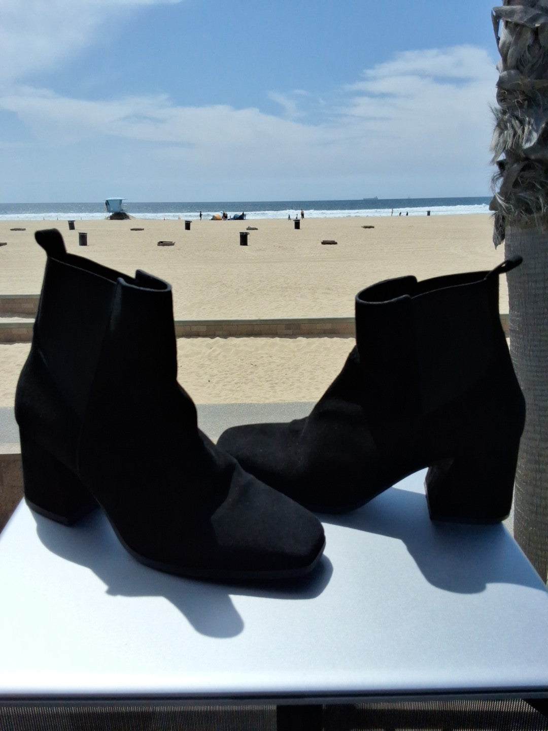 Sergio Rossi Women's Black Suede Ankle Boots Size 9 Elegant Designer Booties